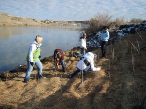 Riverbank restoration