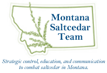 Saltcedar-logo