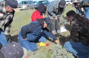 Steve Wanderaas of McCone Conservation District tries his hand at assessing plant community composition at the Rangeland Monitoring Roundup.